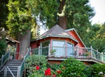 Stay at Redwood Tree House, Healdsburg, Callifornia