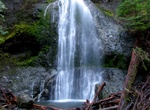 Hike to Marymere Falls, Olympic National Park, Washington