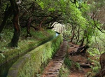 Hike along Levada Paths, Madeira