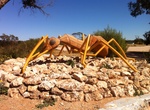 See The Big Ant in Poochera, South Australia