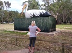 See The Big Pelican in Loxton, South Australia