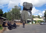 See The Giant Koala in Dadswells Bridge, Victoria