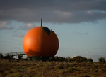 See Big Orange in Berri, South Australia