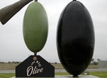 See The Big Olive in Tailem Bend, South Australia