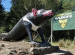 See The Big Tasmanian Devil in Mole Creek, Tasmania