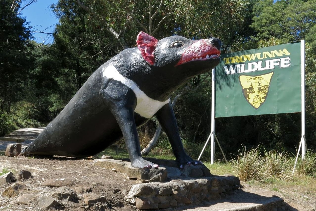 The Big Tasmanian Devil in Mole Creek