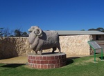 See The Big Ram in Karoonda, South Australia
