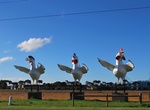 See The Big Hens in Meredith, Victoria