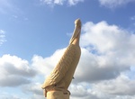 See The Big Pelican in Meningie, South Australia