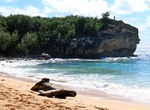 Visit Shipwreck's Beach Point, Kauai, Hawaii