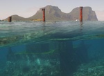 Snorkel The Favourite Wreck, Lord Howe Island, Australia