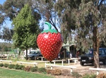 See The Big Strawberry in Koonoomoo, Victoria, Australia