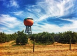 See The Big Orange in Harvey, Western Australia