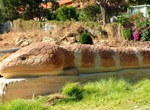 See The Big Bobtail in Kalamunda, Western Australia