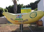 See The Big Banana in Carnarvon, Western Australia