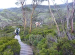 Visit Waterfall Valley Hut, Cradle Mountain National Park, Tasmania