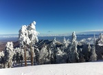 Ski or Snowboard Mount Lemmon Ski Valley, Arizona
