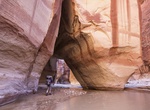 Hike Wire Pass Trail to Buckskin Gulch & Paria Canyon, Utah & Arizona