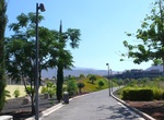 Explore Central Park of Arona, Canary Islands