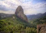 Explore Garajonay National Park, Canary Islands, Spain (UNESCO site)
