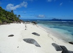 Visit Silhouette Island, Seychelles