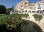 See Arethuse Fountain , Syracuse, Sicily