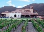 Wine Taste at El Cielo, Valle de Guadalupe, Baja California