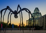 See Maman Sculpture at National Gallery of Canada, Ottawa, Ontario