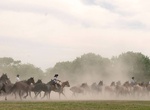 Stay at Estancia La Bamba de Areco, San Antonio de Areco, Argentina