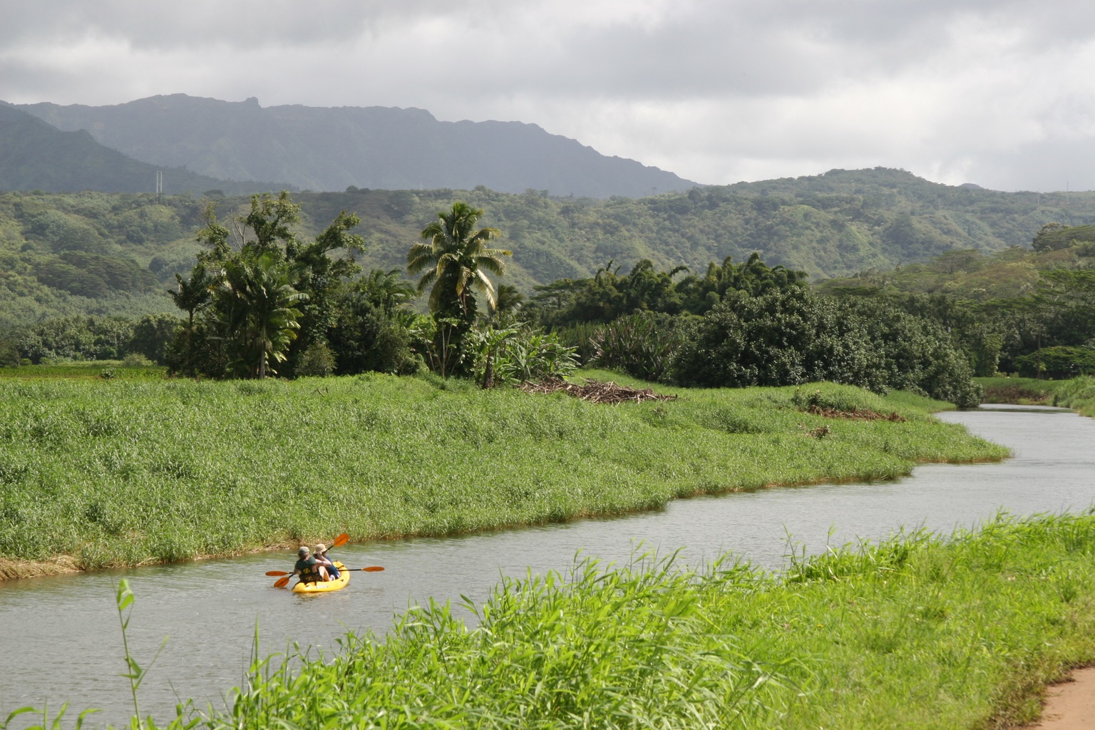 Hanalei River