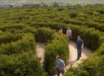 Complete The Peace Maze, Ireland