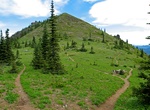 Hike or Mountain Bike Noble Knob, Rainier National Park
