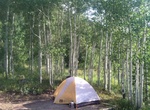 Camp at Gore Creek Campground, Colorado