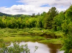 Explore Katahdin Woods and Waters National Monument, Maine