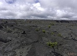 Hike Napau Crater Trail, Hawaii Volcanoes National Park, Hawaii
