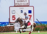 Watch Polo at Hawaii Polo Club, Oahu, Hawaii