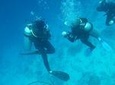 Falmouth Shore Excursion: 2-Tank Certified Scuba Diving Tour