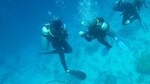 Falmouth Shore Excursion: 2-Tank Certified Scuba Diving Tour