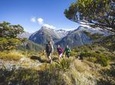 Full-Day Routeburn Track Key Summit Guided Walk from Te Anau