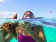 Starfish and Stingray City Adventure with Snorkeling