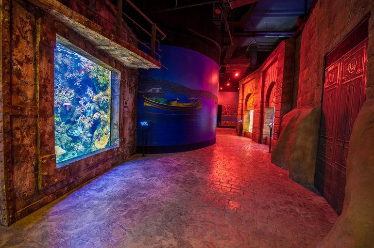 Malta National Aquarium Entrance Ticket