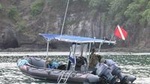 Beginner Diving Lesson with Two Tank Dives in Guanacaste