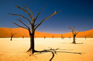 namib windhoek naukluft