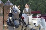 Deluxe Horse-Drawn Carriage Tour of Victoria