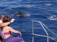 Amazing Skywalk, Cliff & Valleys in 4x4 Tour + Dolphins Watching