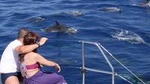 Amazing Skywalk, Cliff & Valleys in 4x4 Tour + Dolphins Watching