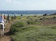 Aruba Horseback Riding Tour to Hidden Lagoon