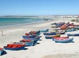 Cape West Coast Full Day Private Day Tour