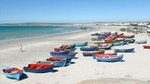 Cape West Coast Full Day Private Day Tour