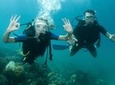 Catalina Island Scuba Diving and Snorkeling Tour from Punta Cana